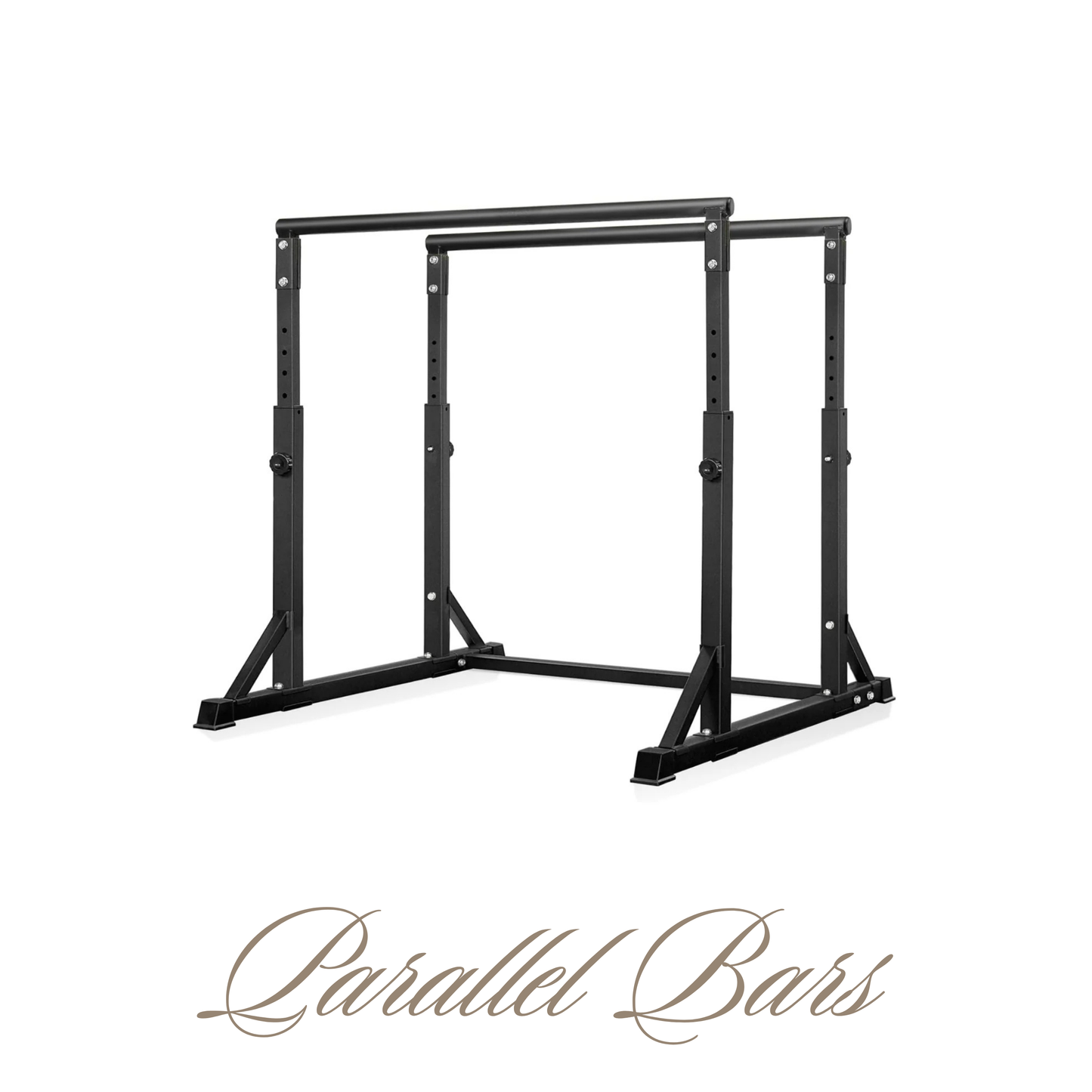 Calisthenics: Parallel Bars