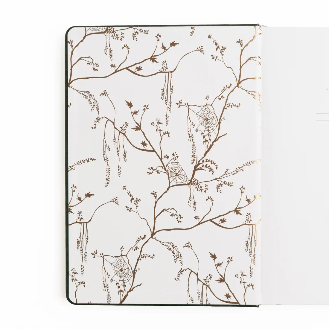 A5 Apothecary Shelf - Dot Grid Notebook