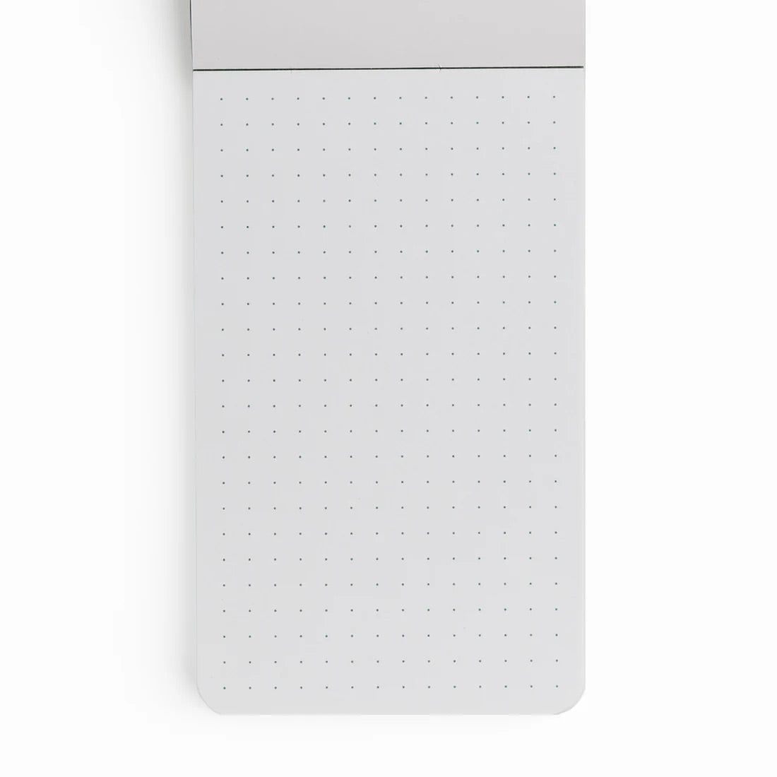 Forest Findings Memo Pad - Fall 2025