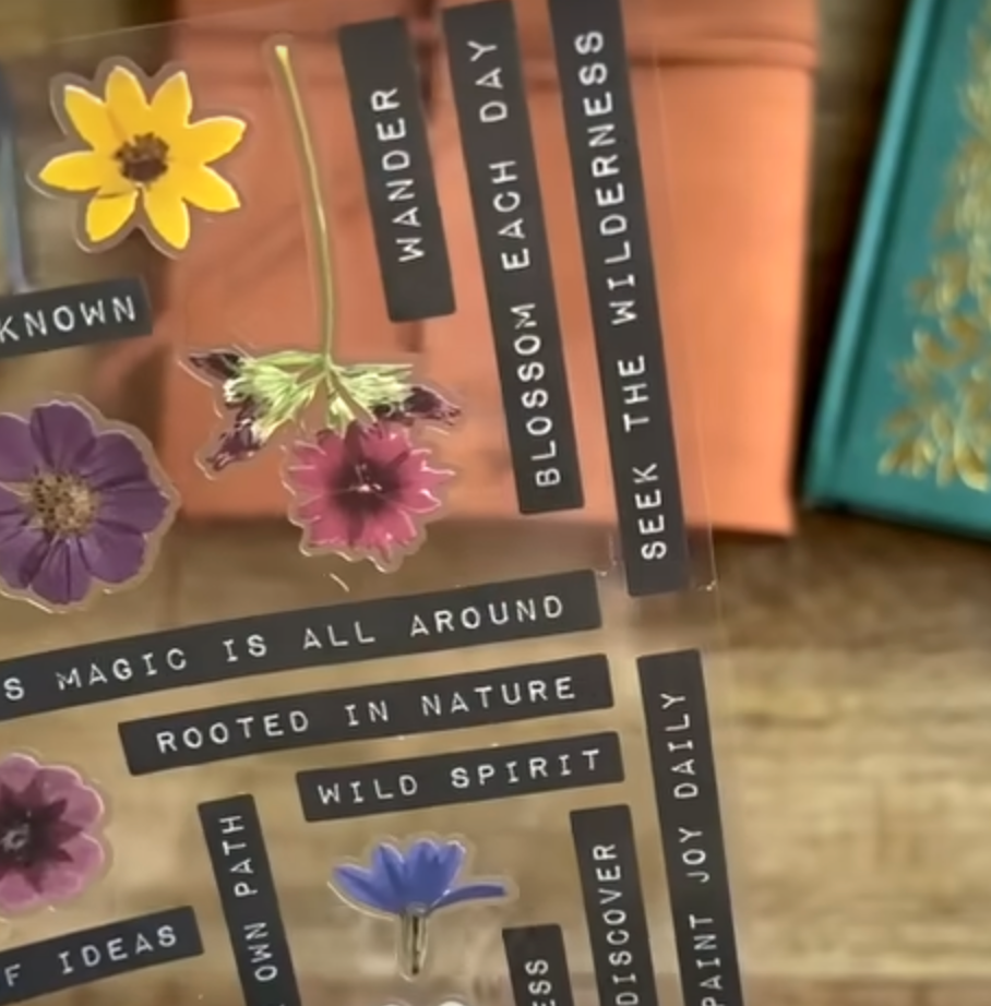 Notes for Nature Stickers - Notes for Nature Subscription Box
