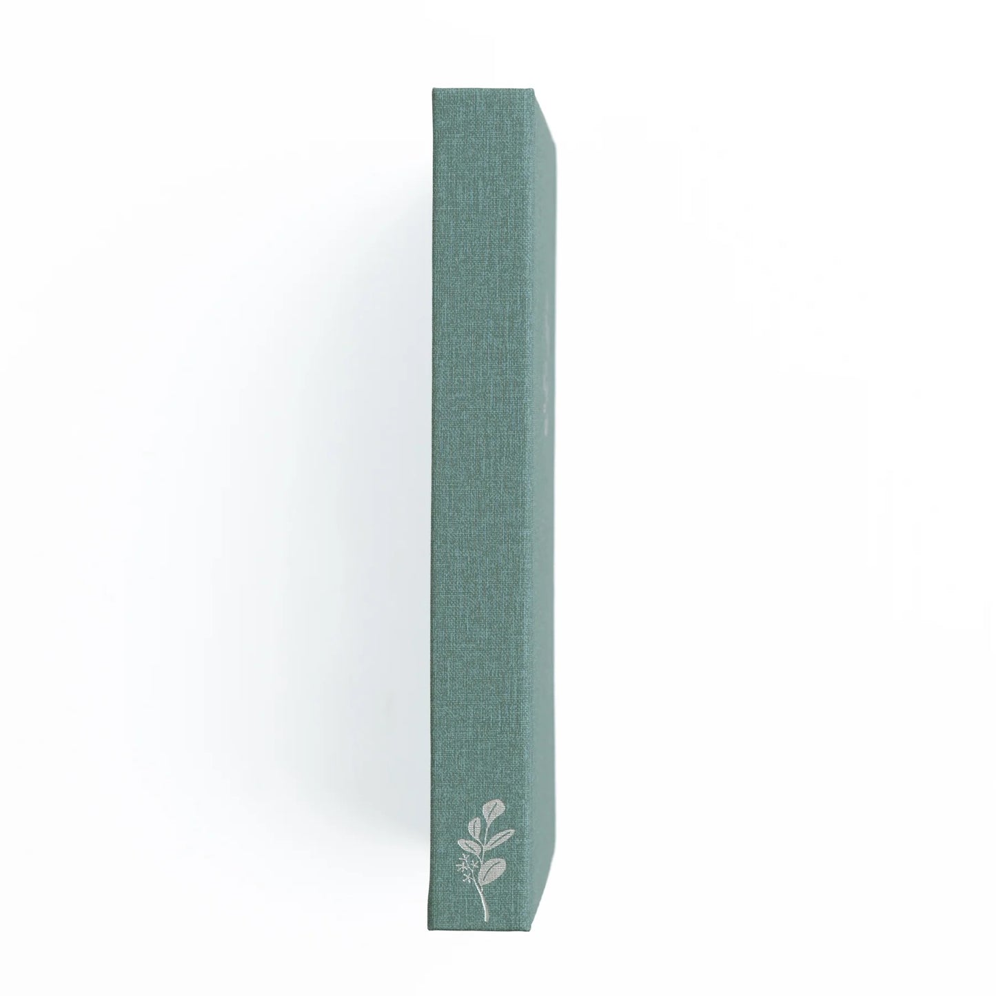 B5 Eucalyptus - Limited Edition Notebook - Winter Wholesale Exclusive