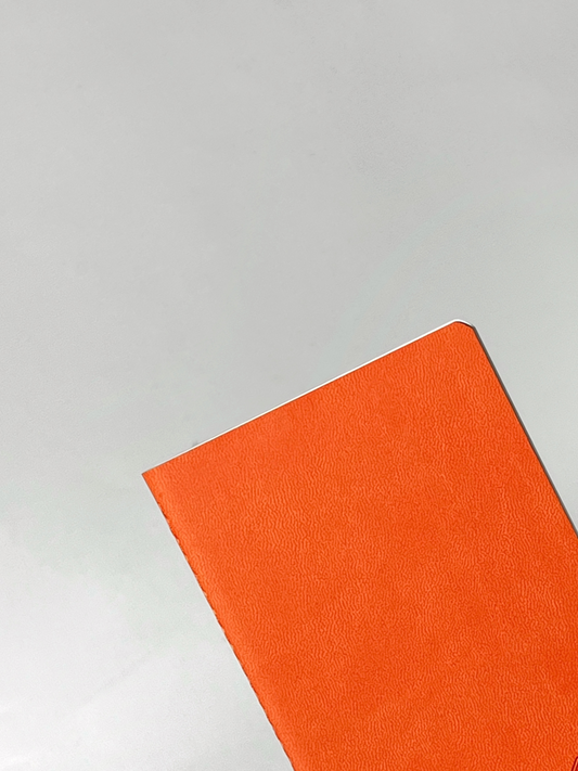 Pocket Notebooks: Tomoe River Paper