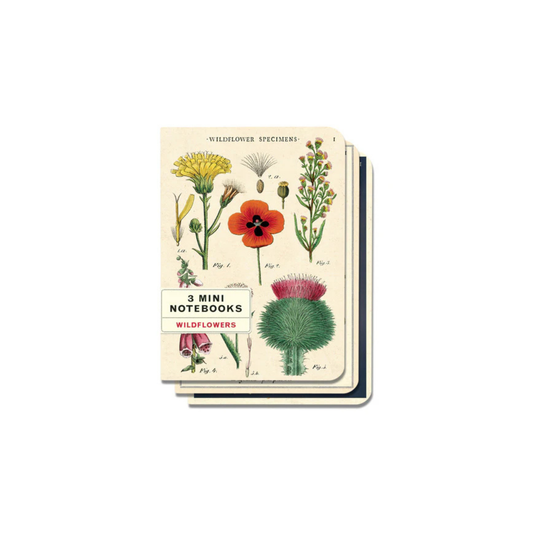 Wildflower Specimens - Mini Notebook (3 Pack)