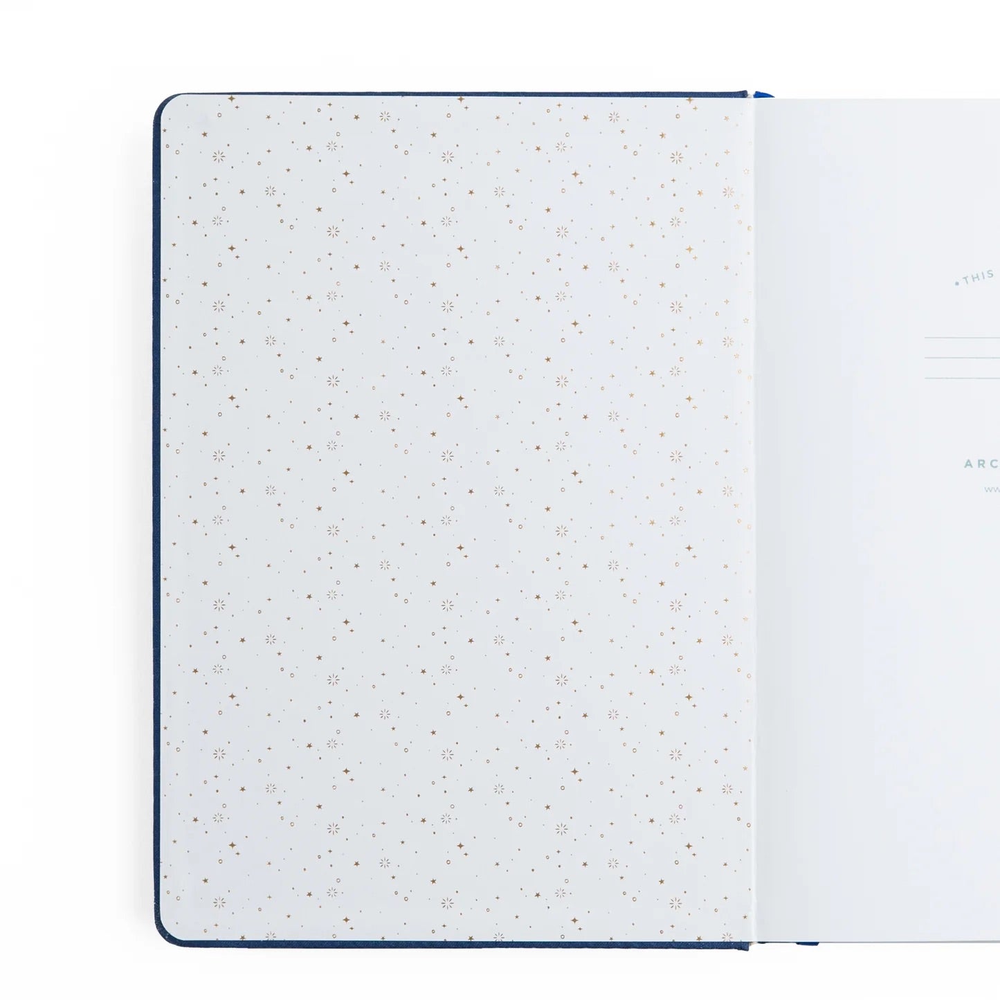 TN Firefly Night - Traveler's Dot Grid Notebook