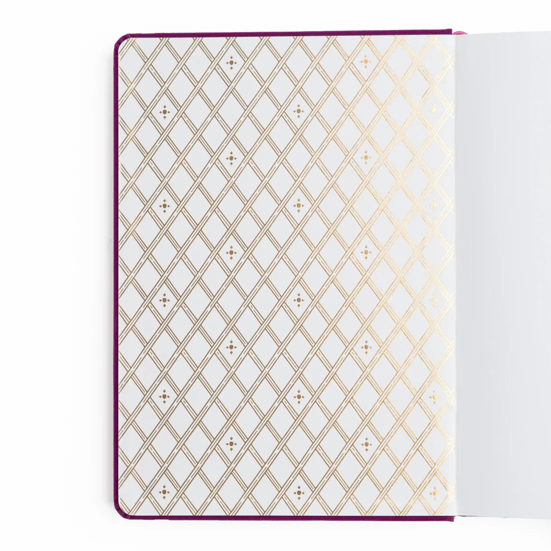 B6 Berries and Vine - Dot Grid Notebook