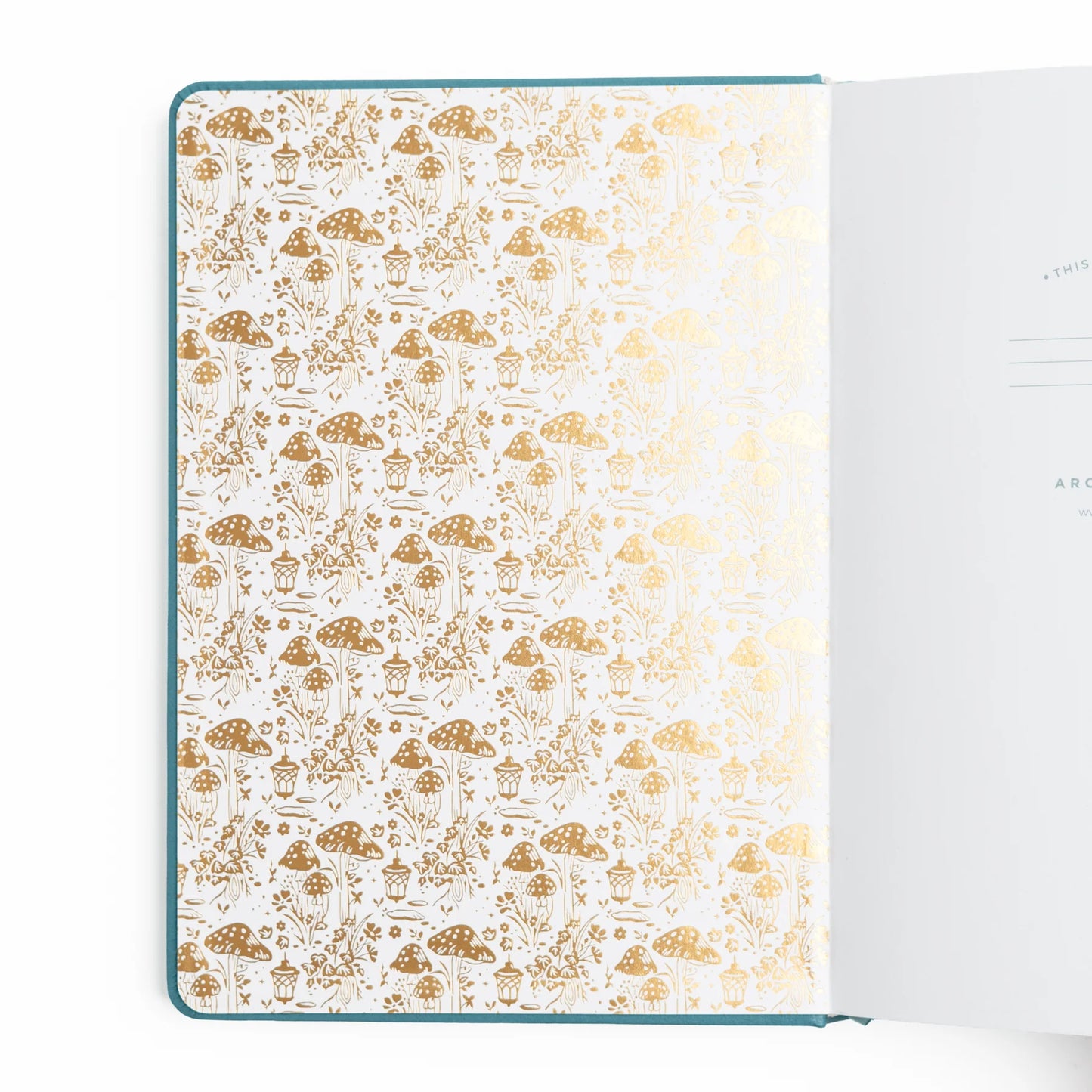 TN Fairy House - Dot Grid Notebook