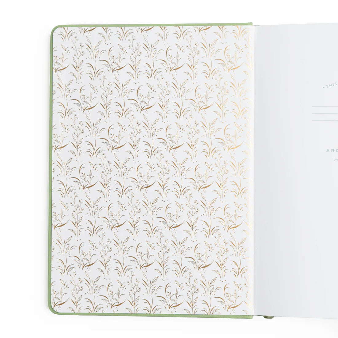 8x8 Turtle - Limited Edition Dot Grid Notebook - Summer Wholesale Exclusive